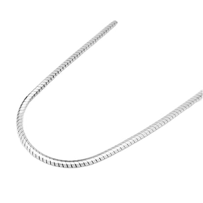 Serpent's Embrace: The Silver Sleek Chain